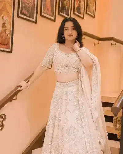 Escort Service In Arani